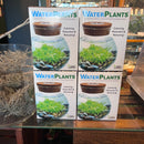 Create Your Own Aquascape