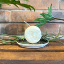 Sun and Moon Candle