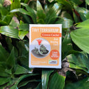Tiny Terrarium