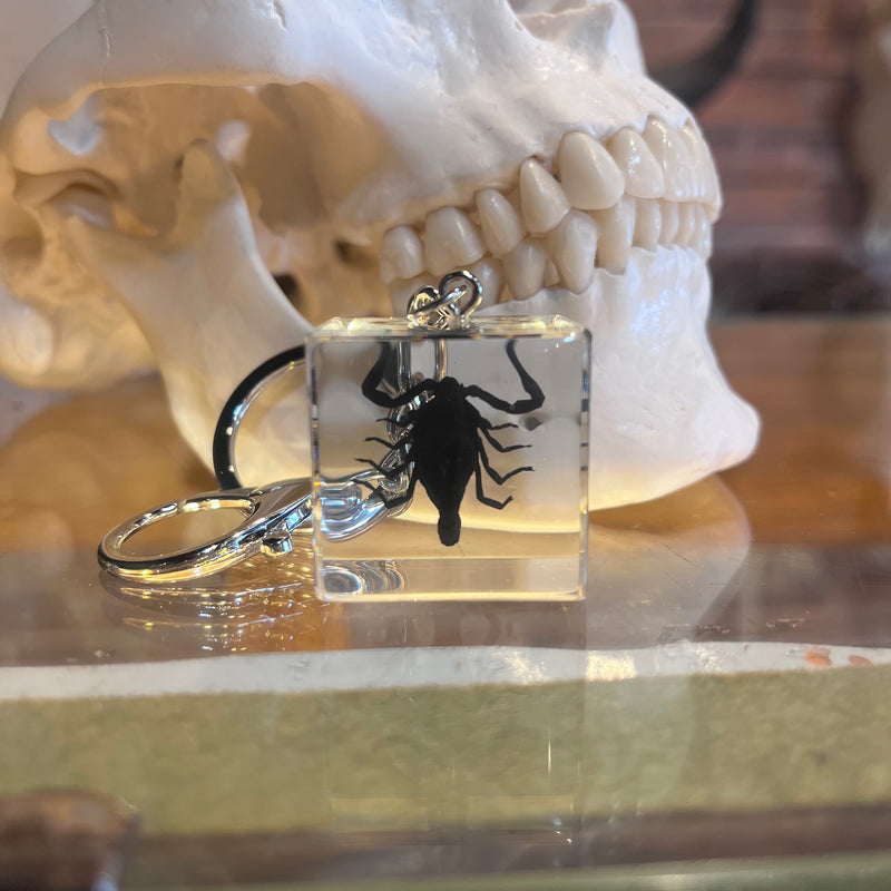 Black Scorpion Cube Keychain