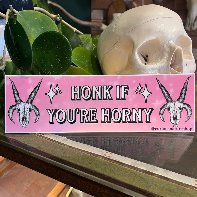 Honk if you're Horny Bumper Sticker