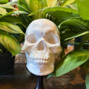 Ceramic Skull