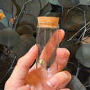 Mini Glass Dome