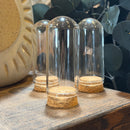 Mini Glass Dome