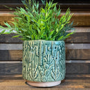Cactus Planter