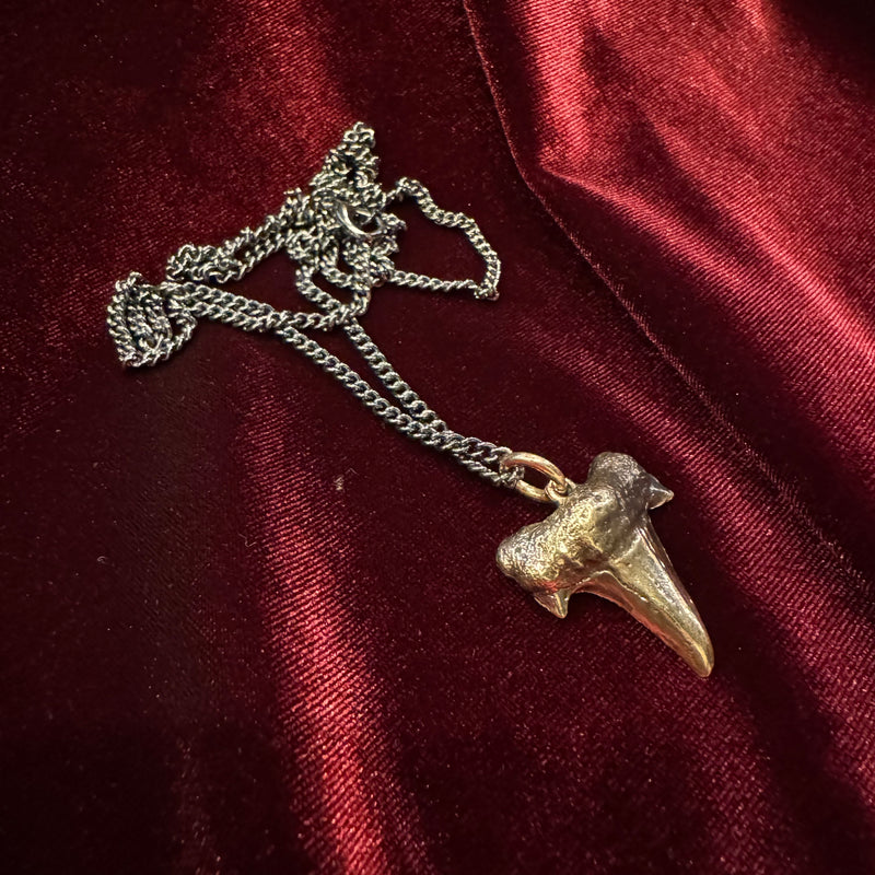 Bronze Shark Tooth Necklace