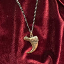 Cougar Claw Necklace