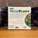 Mini Water Plants