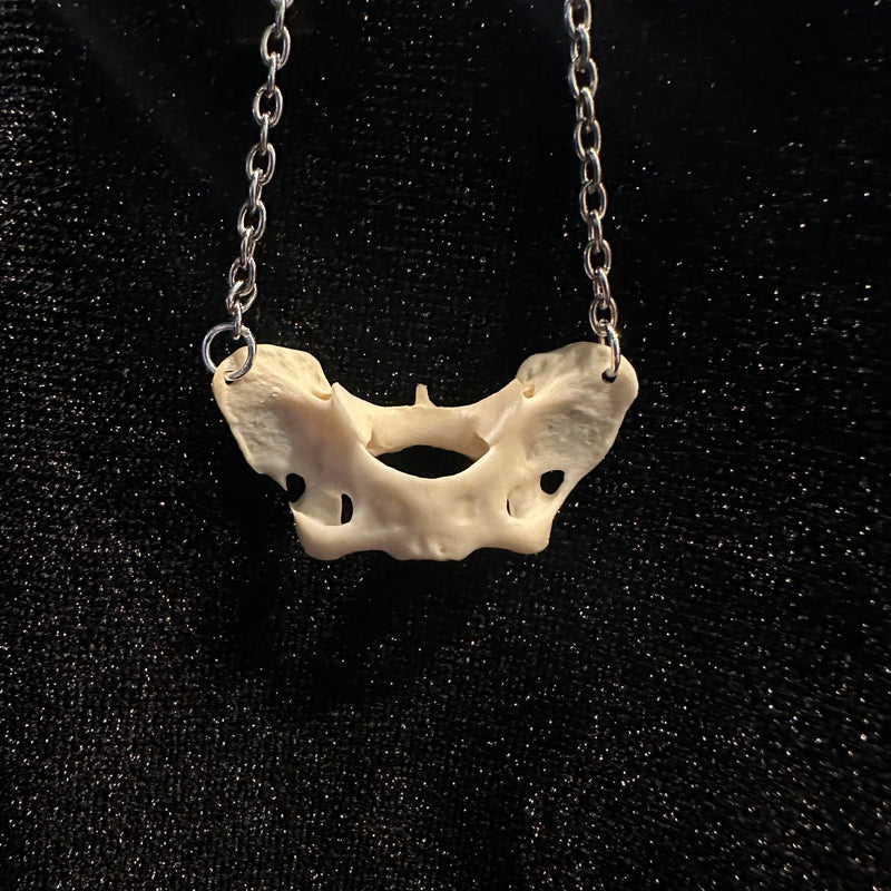 Mink Atlas Bone Necklace