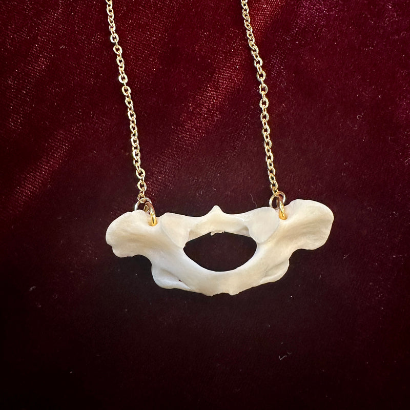 Raccoon Atlas Bone Necklace