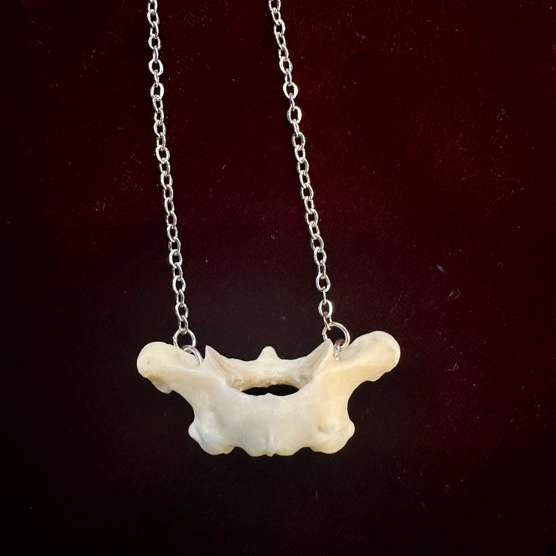 Raccoon Atlas Bone Necklace