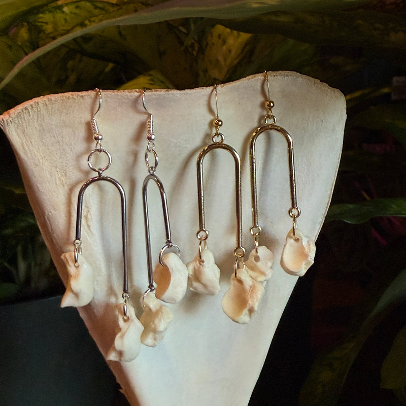 Bobcat Toe Bone Earrings