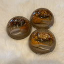 Fiddler Crab Half Dome Paperweight