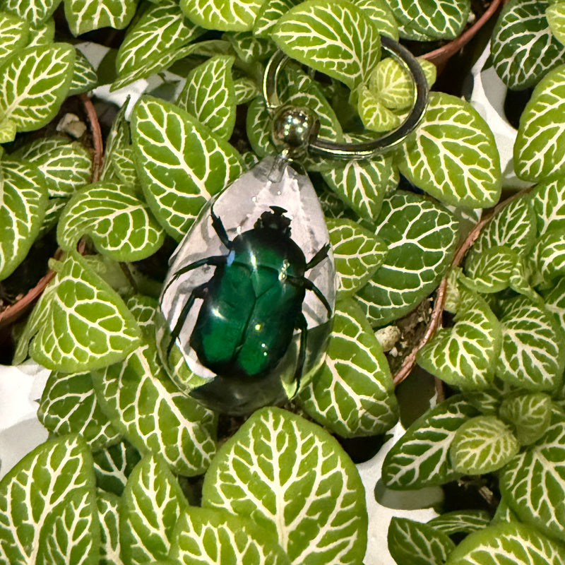 Green Chafer Beetle Keychain
