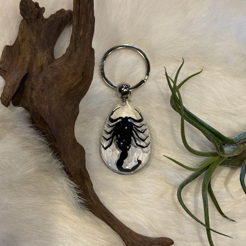 Black Scorpion Tear Drop Keychain