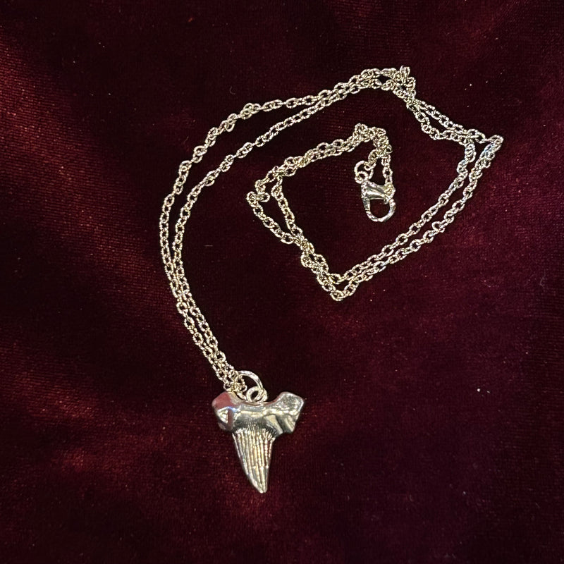 Silver Shark Tooth Necklace