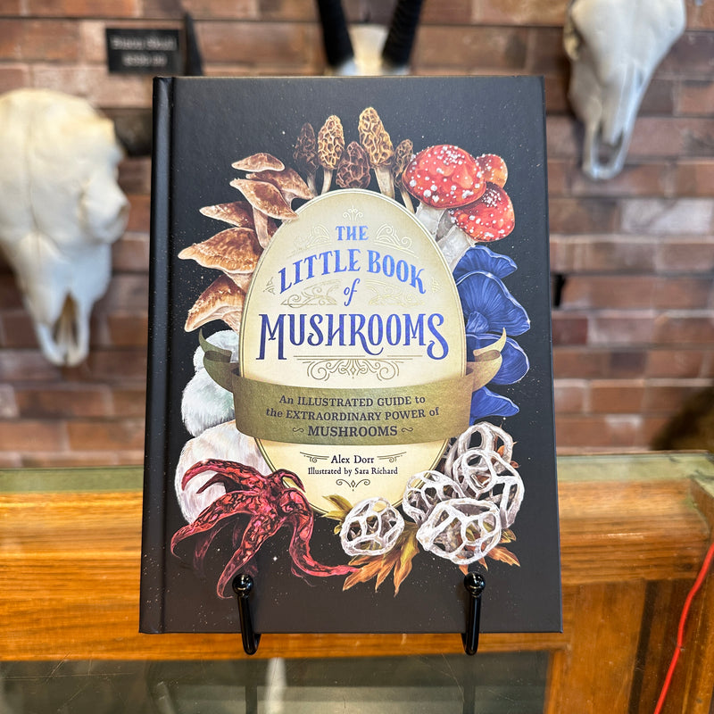 The Little Book of Mushrooms: An Illustrated Guide to the Extraordinary Power of Mushrooms by Alex Dorr