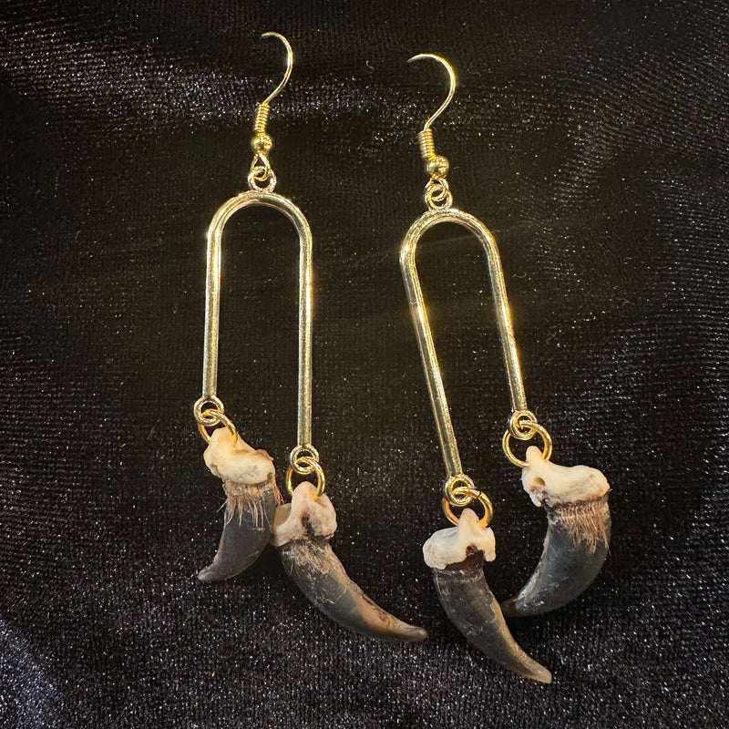 Double Coyote Claw Earrings