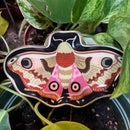 Moon Moth Trinket Dish