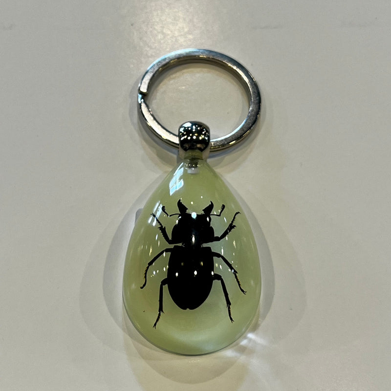 Stag Beetle Glow in the Dark Tear Drop Keychain