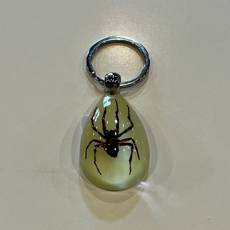 Spider Glow in the Dark Tear Drop Keychain