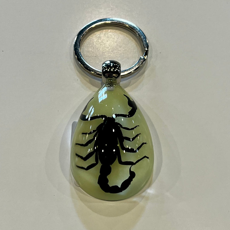 Black Scorpion Glow in the Dark Tear Drop Keychain