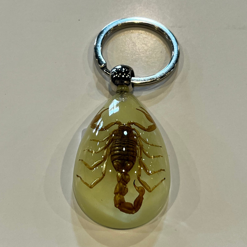 Golden Scorpion Glow in the Dark Tear Drop Keychain