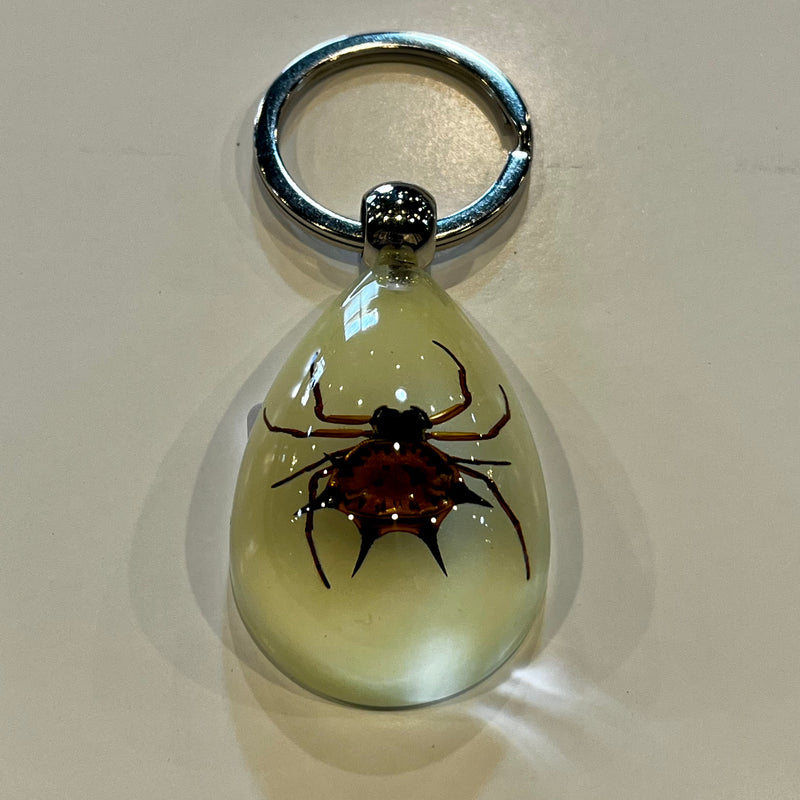 Spiny Spider Glow in the Dark Tear Drop Keychain