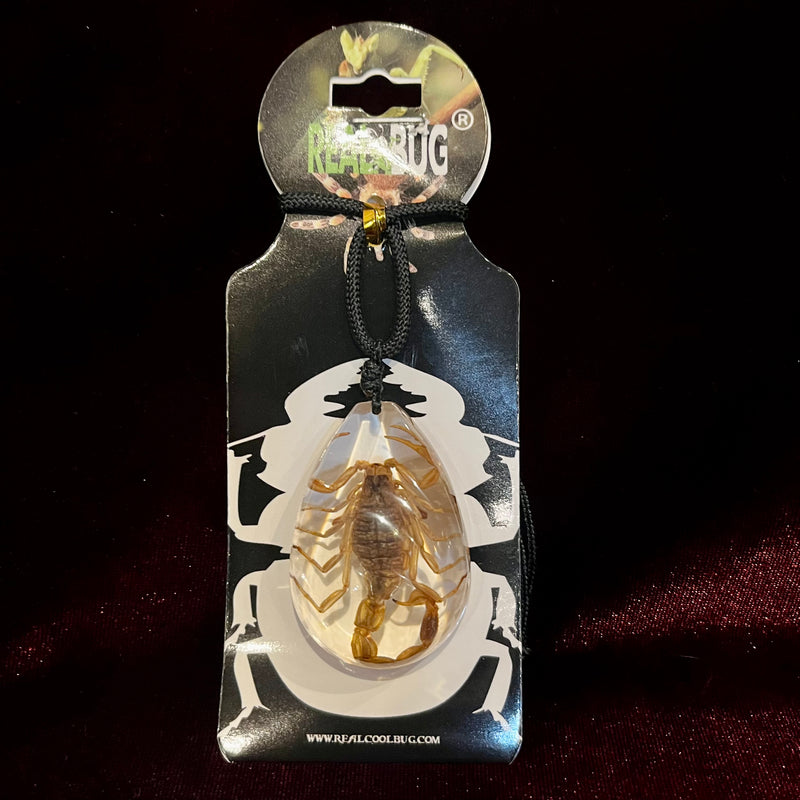 Golden Scorpion Tear Drop Necklace