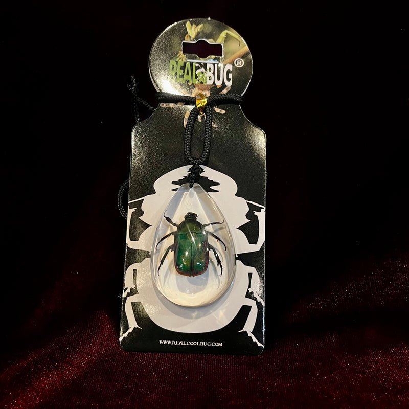 Green Chafer Beetle Tear Drop Necklace