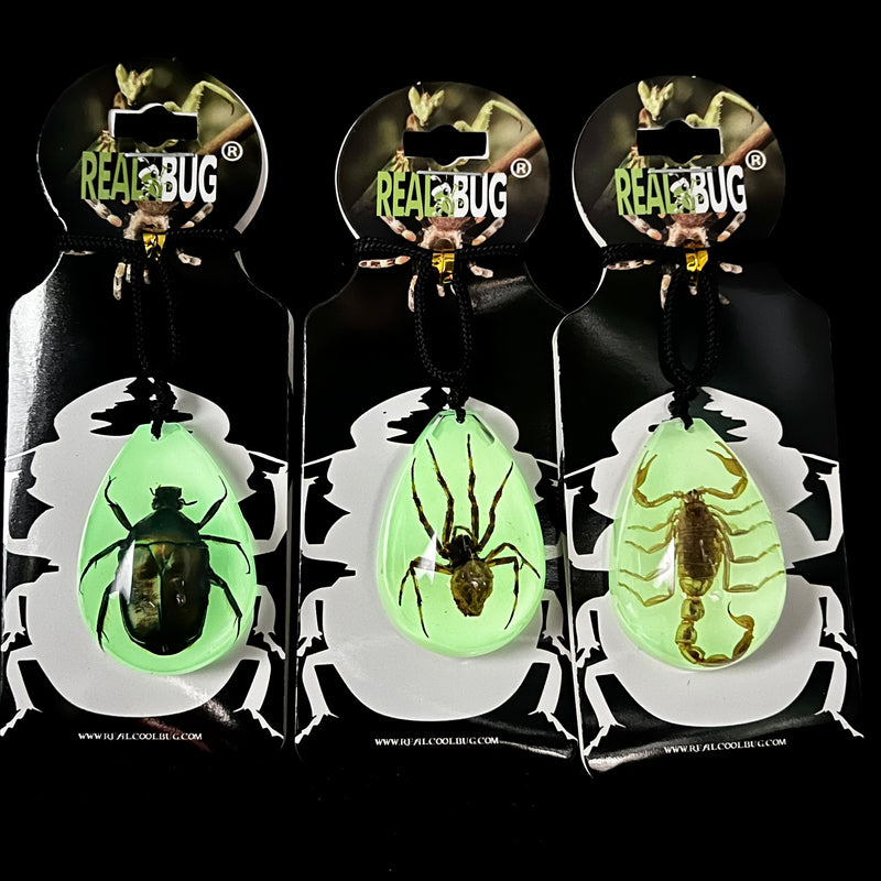Green Chafer Beetle Glow in the Dark Tear Drop Necklace