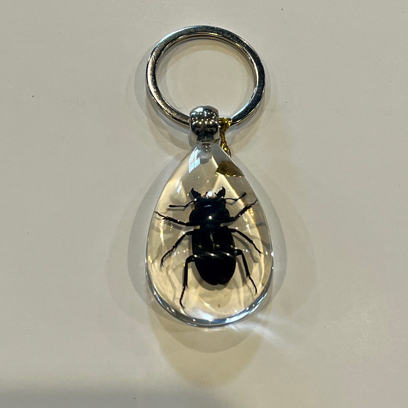 Stag Beetle Tear Drop Keychain
