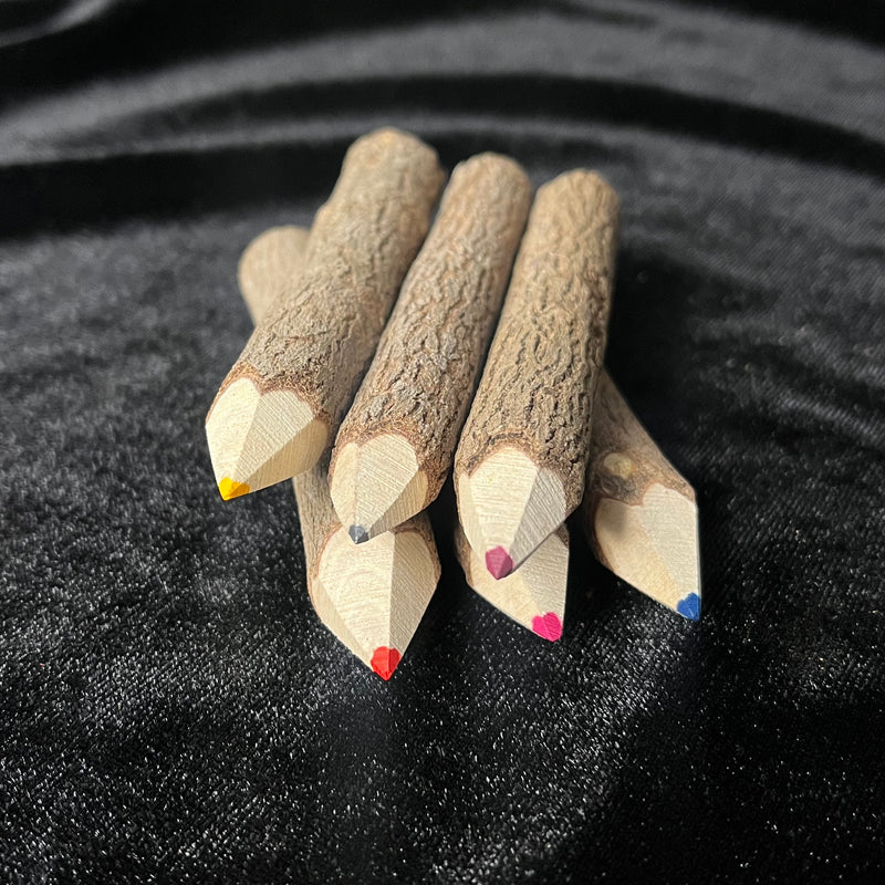 Branch Colored Pencils