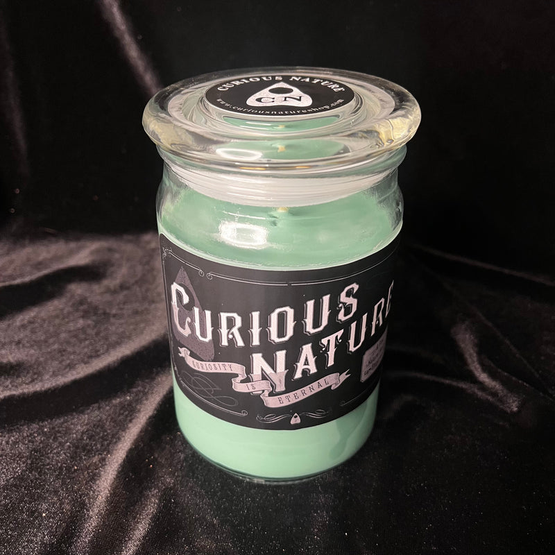 Evergreen Candle 18oz