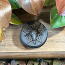Baphomet Trinket and Jewelry Box