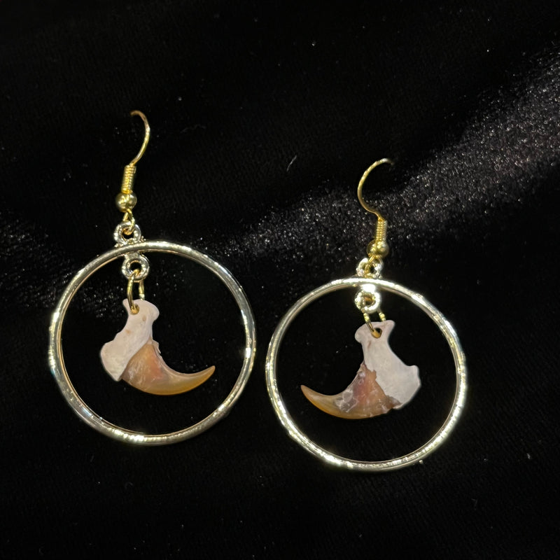 Bobcat Claw Small Hoop Earrings