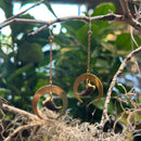 Raccoon Claw Hanging Moon Earrings
