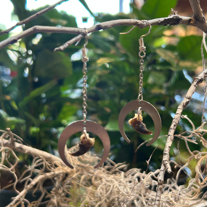 Raccoon Claw Hanging Moon Earrings