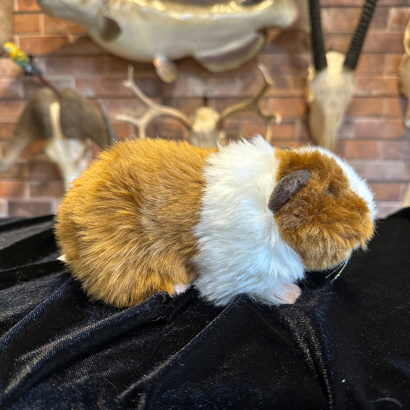 Lifelike Guinea Pig Plush Toy
