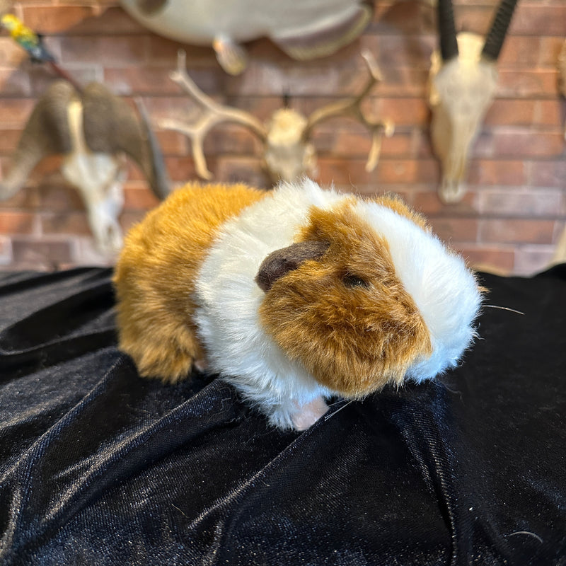 Lifelike Guinea Pig Plush Toy