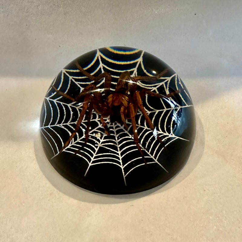 Spider Globe with Web Paperweight
