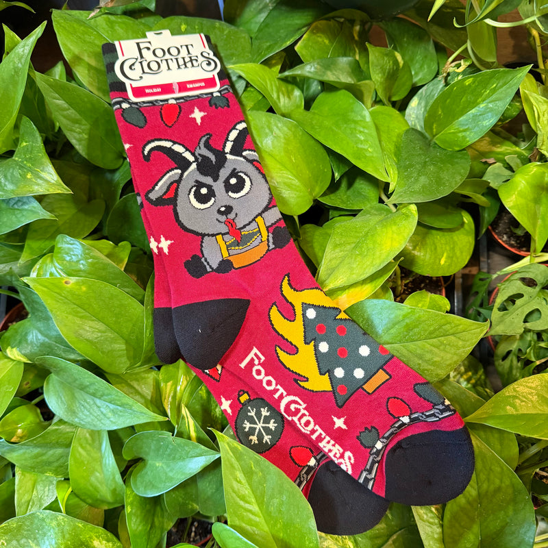Kwampus Crew Socks