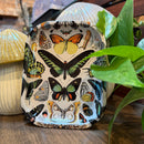Butterfly Trinket Tray