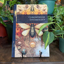 Curiosities of Entomology