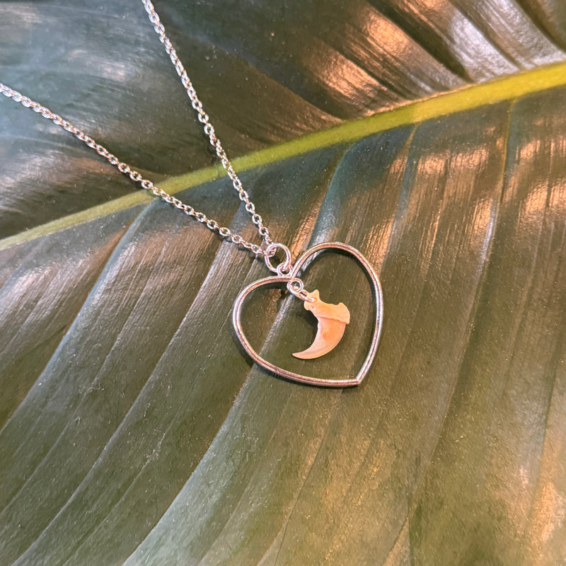 Bobcat Claw Heart Necklace