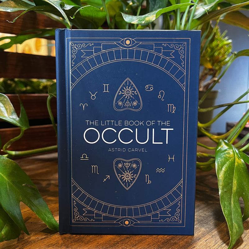 The Little Book of the Occult by Astrid Carvel