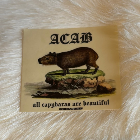 ACAB Capybara Sticker