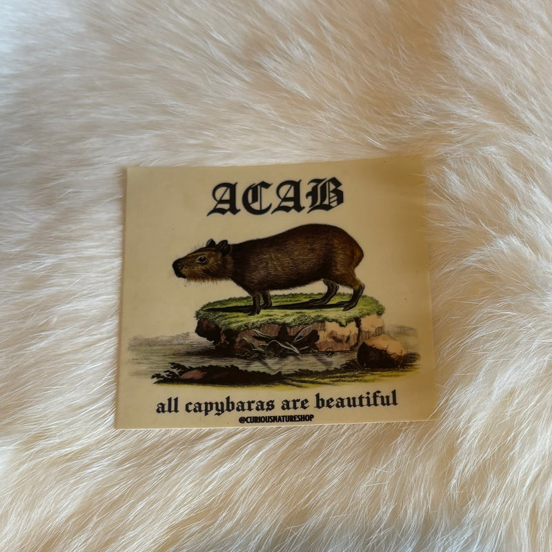 ACAB Capybara Sticker