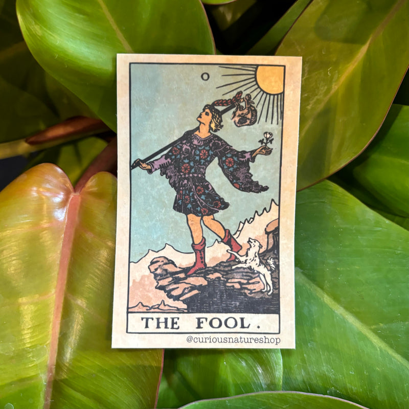 The Fool Tarot Card Sticker