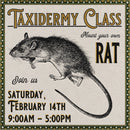02/14/26 Taxidermy Rat Class